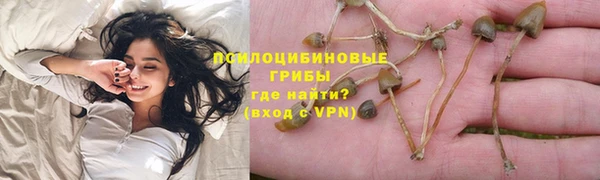 кокс Алексин