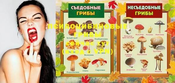кокс Алексин